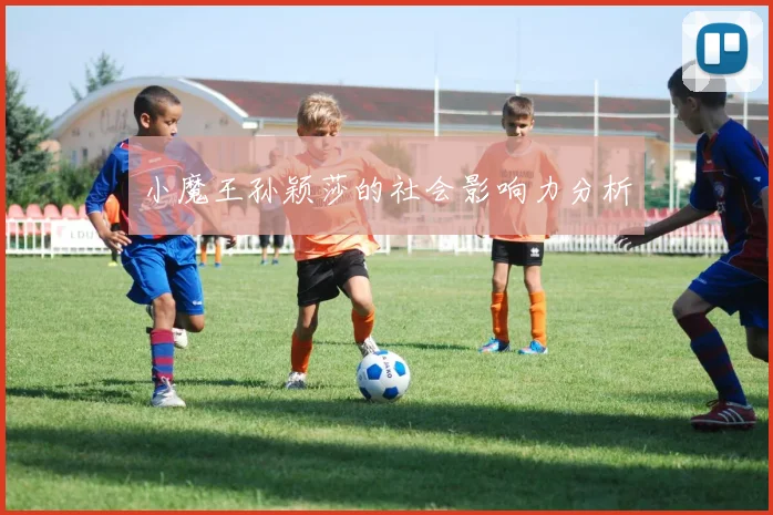 小魔王孙颖莎的社会影响力分析