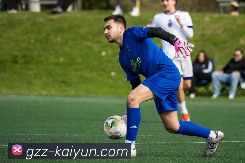 开云APP 高清赛事图